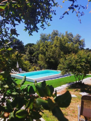 Hotels in Castelo